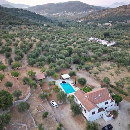 Pandora Villa Vathy (Ithaca) Exterior foto